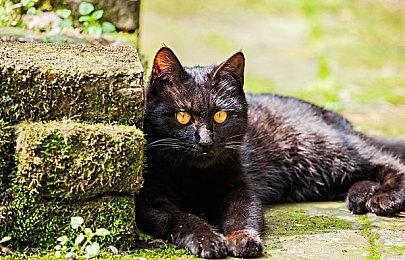 《Darwake》Steam试玩上线 恶梦解谜动作新游